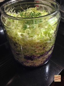 Picture of Cabbage i the jar